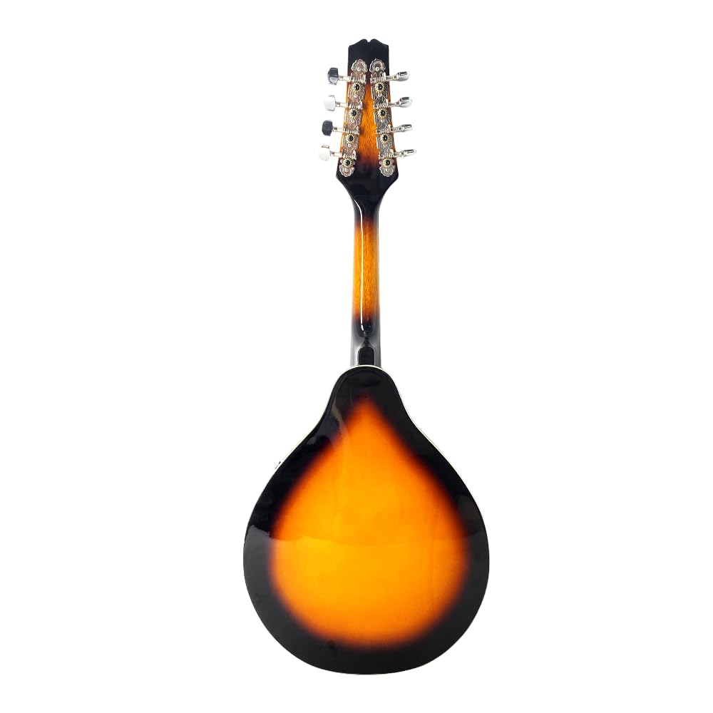 8 String A Style Acoustic Mandolin Kit with Carrying Case W49474