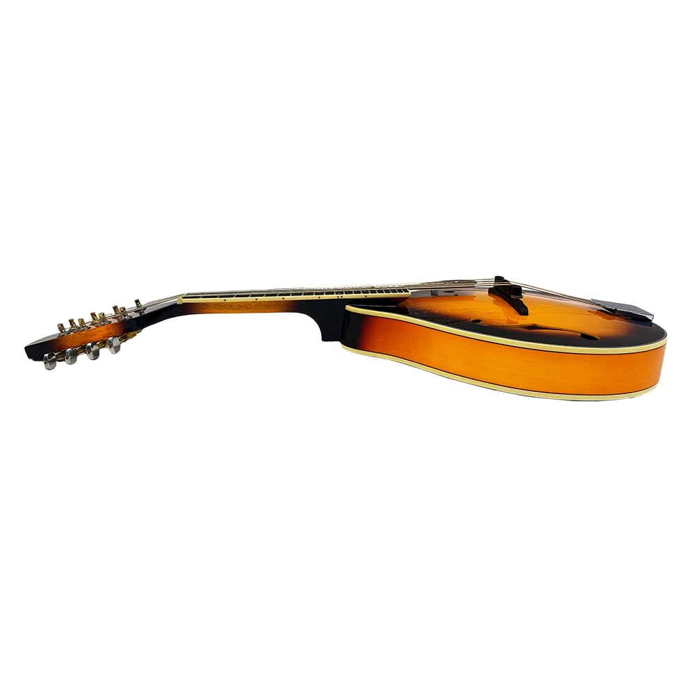 8 String A Style Acoustic Mandolin Kit with Carrying Case W49474