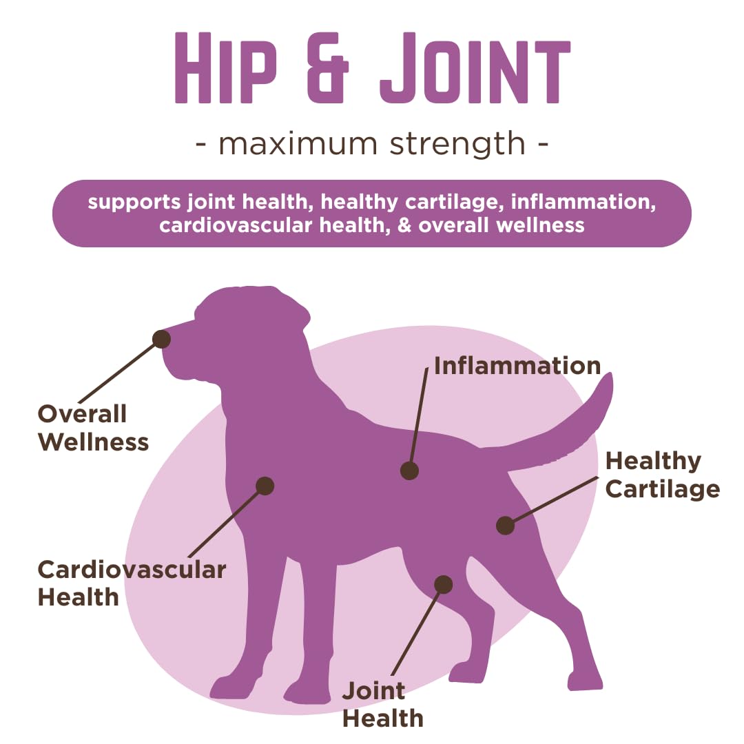 Glucosamine & Chondroitin Dog Joint Supplement Chews, Peanut Butter, 120 Ct P635