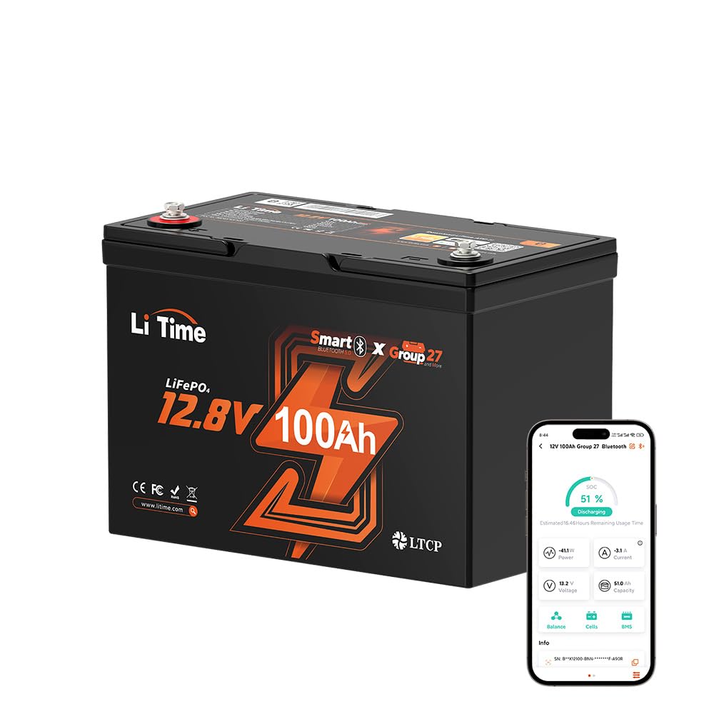 12V 100Ah LiFePO4 Battery E877