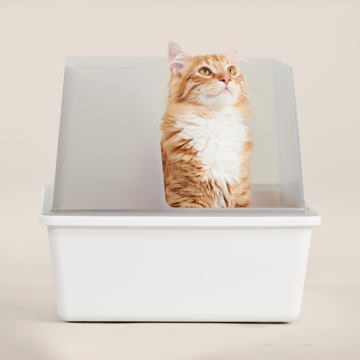 High Sided Cat Litter Box Open Top Anti-Stick Plastic White/Gray H1018