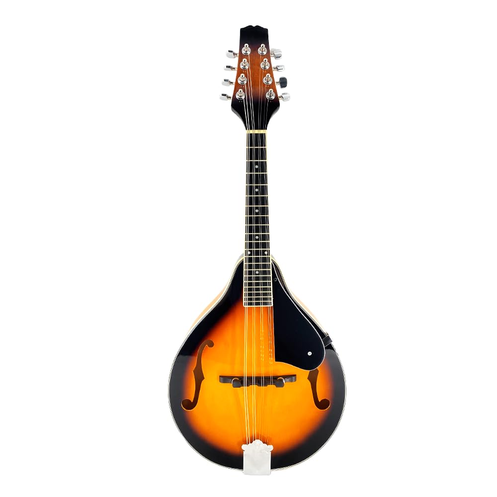 8 String A Style Acoustic Mandolin Kit with Carrying Case W49474