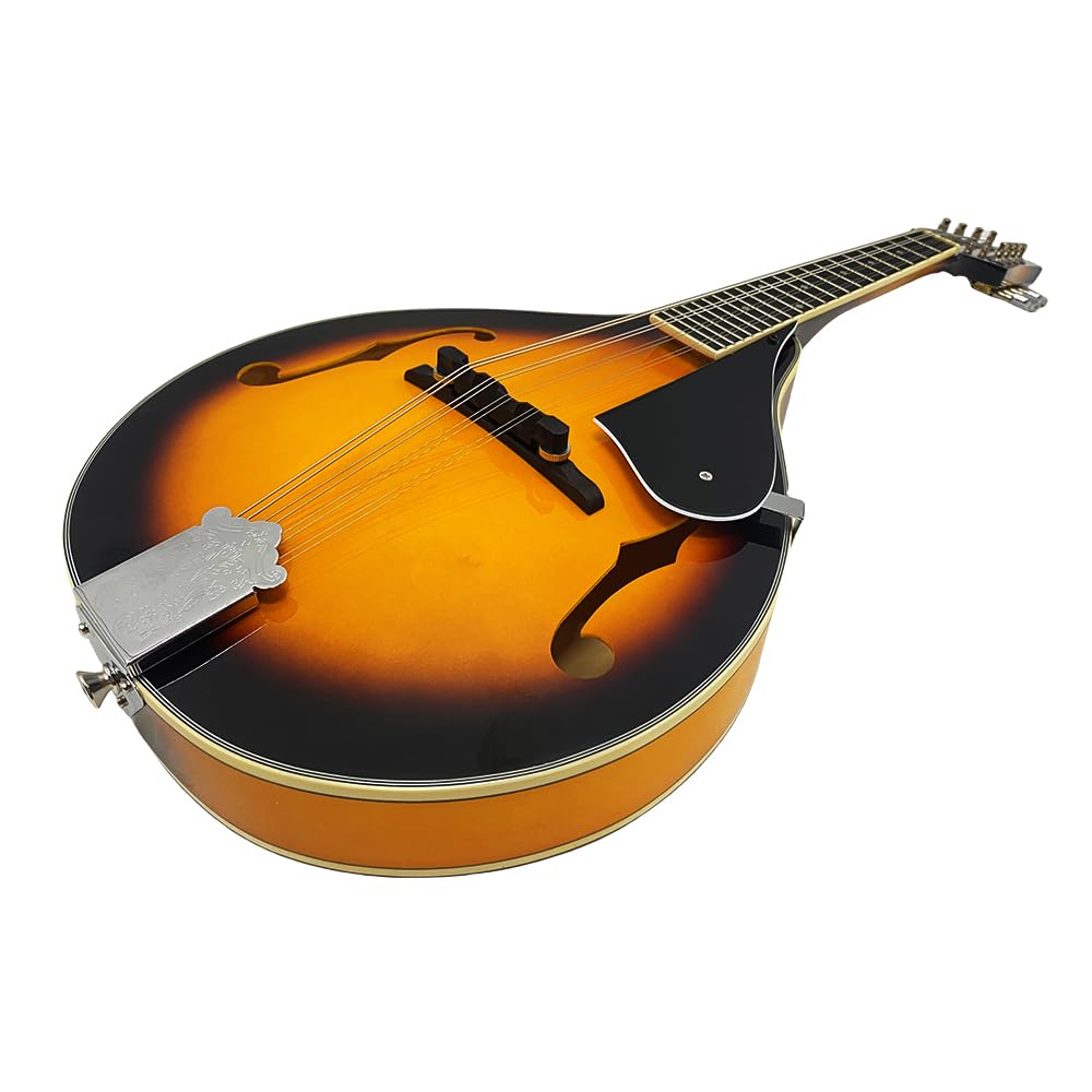 8 String A Style Acoustic Mandolin Kit with Carrying Case W49474