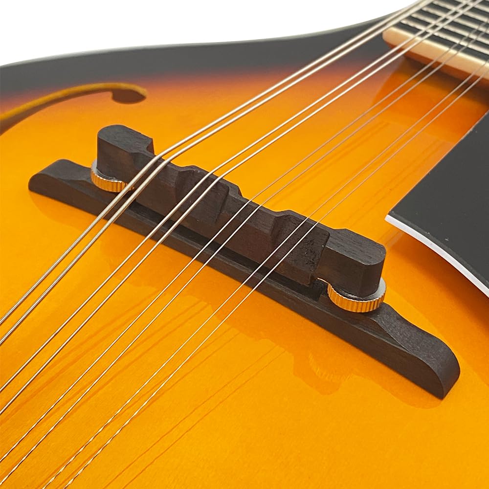 8 String A Style Acoustic Mandolin Kit with Carrying Case W49474