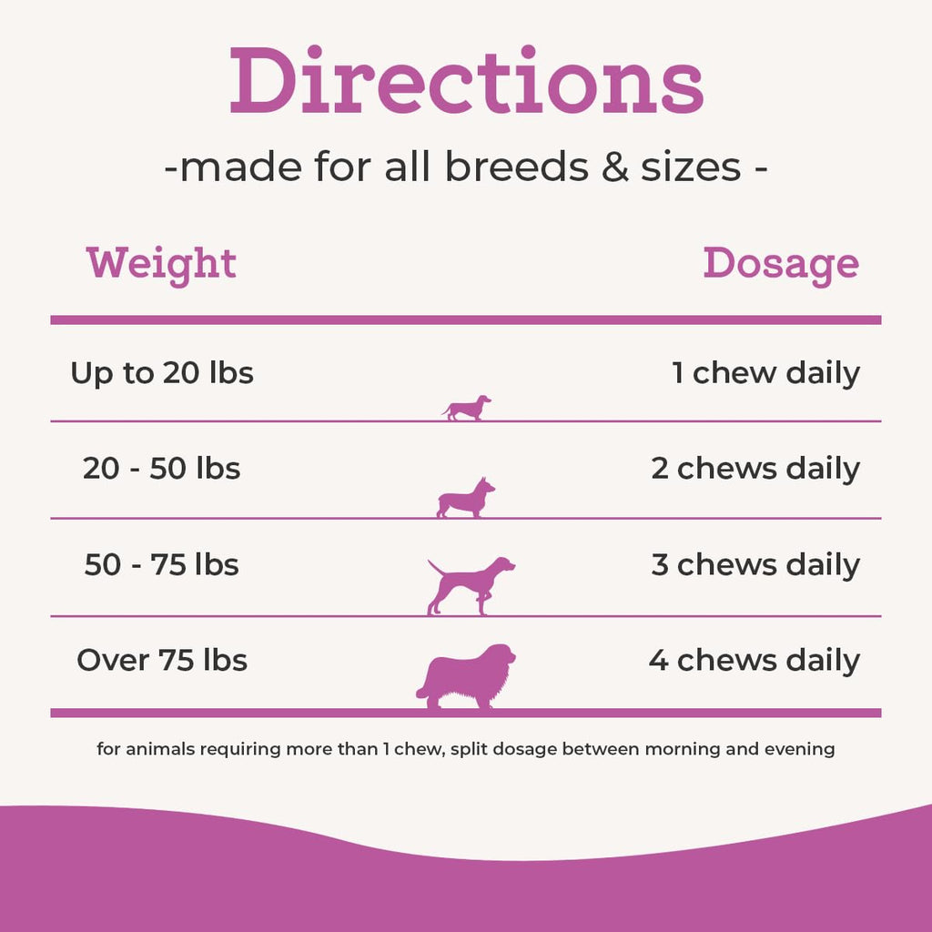 Glucosamine & Chondroitin Dog Joint Supplement Chews, Peanut Butter, 120 Ct P635