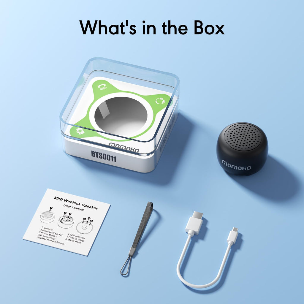 Black Mini Bluetooth Speaker with Built-in Mic W624