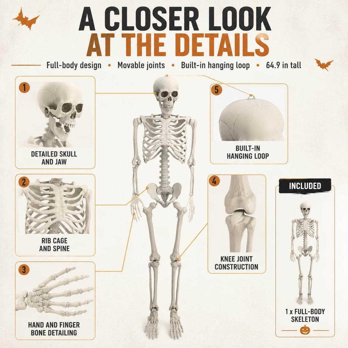 Life Size Posable Skeleton Prop Decoration A428241