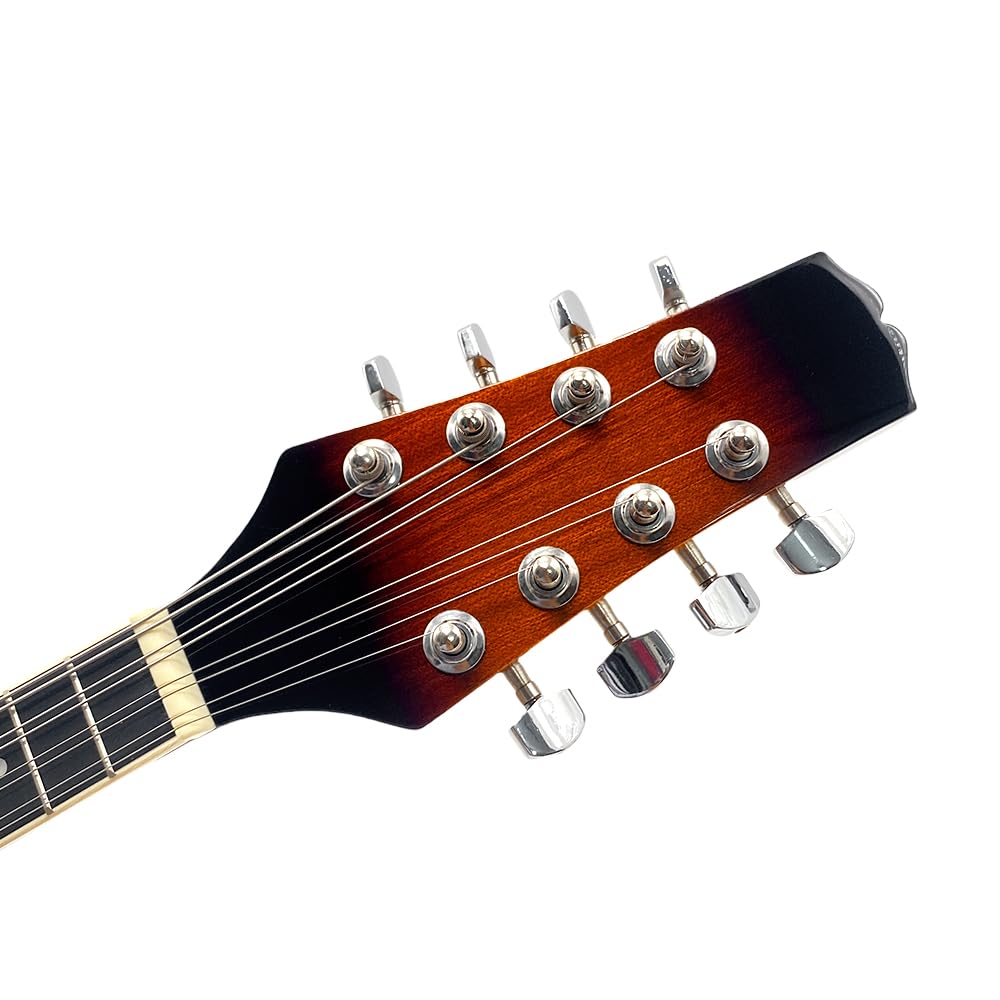 8 String A Style Acoustic Mandolin Kit with Carrying Case W49474