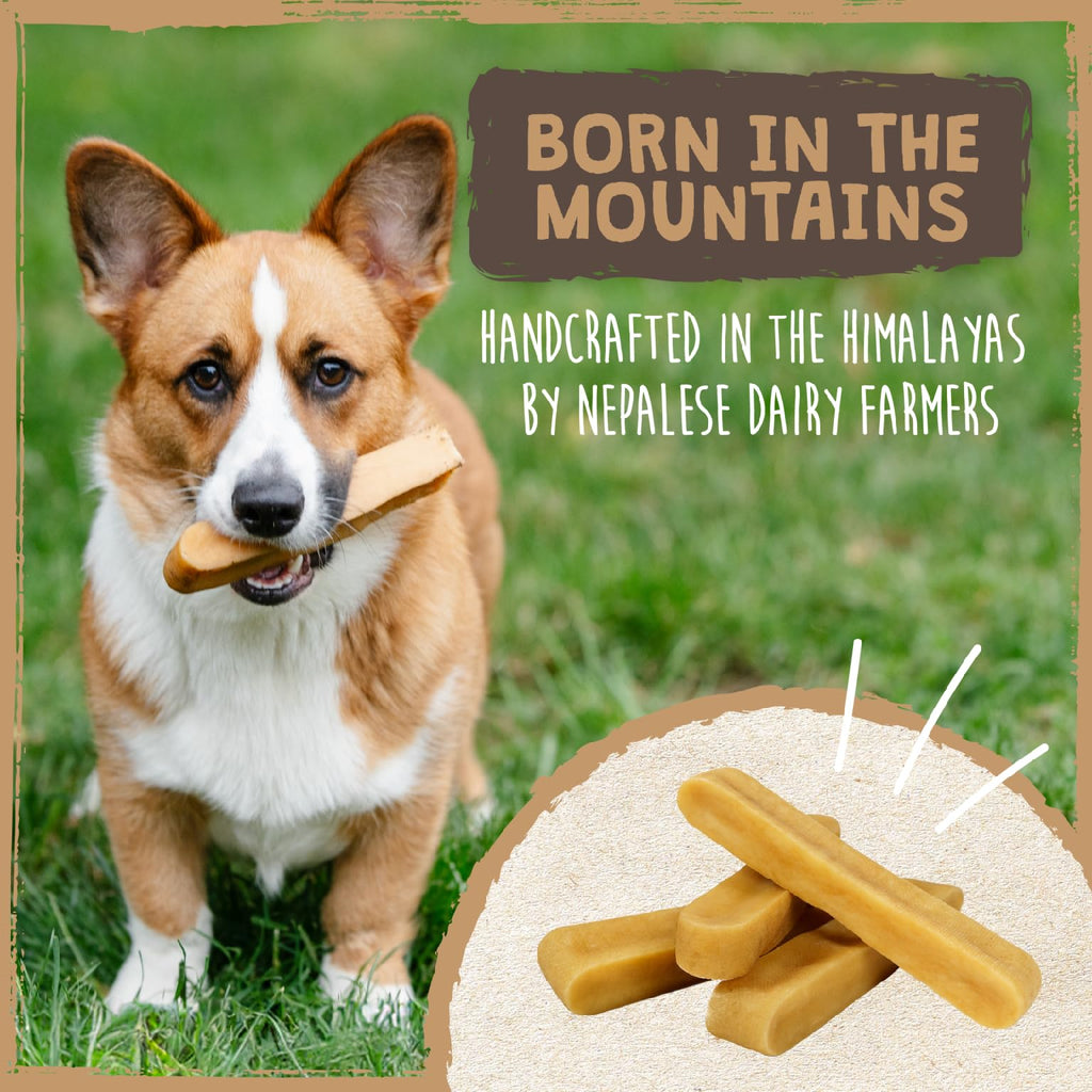 Yak Chews 4 Pack X8771
