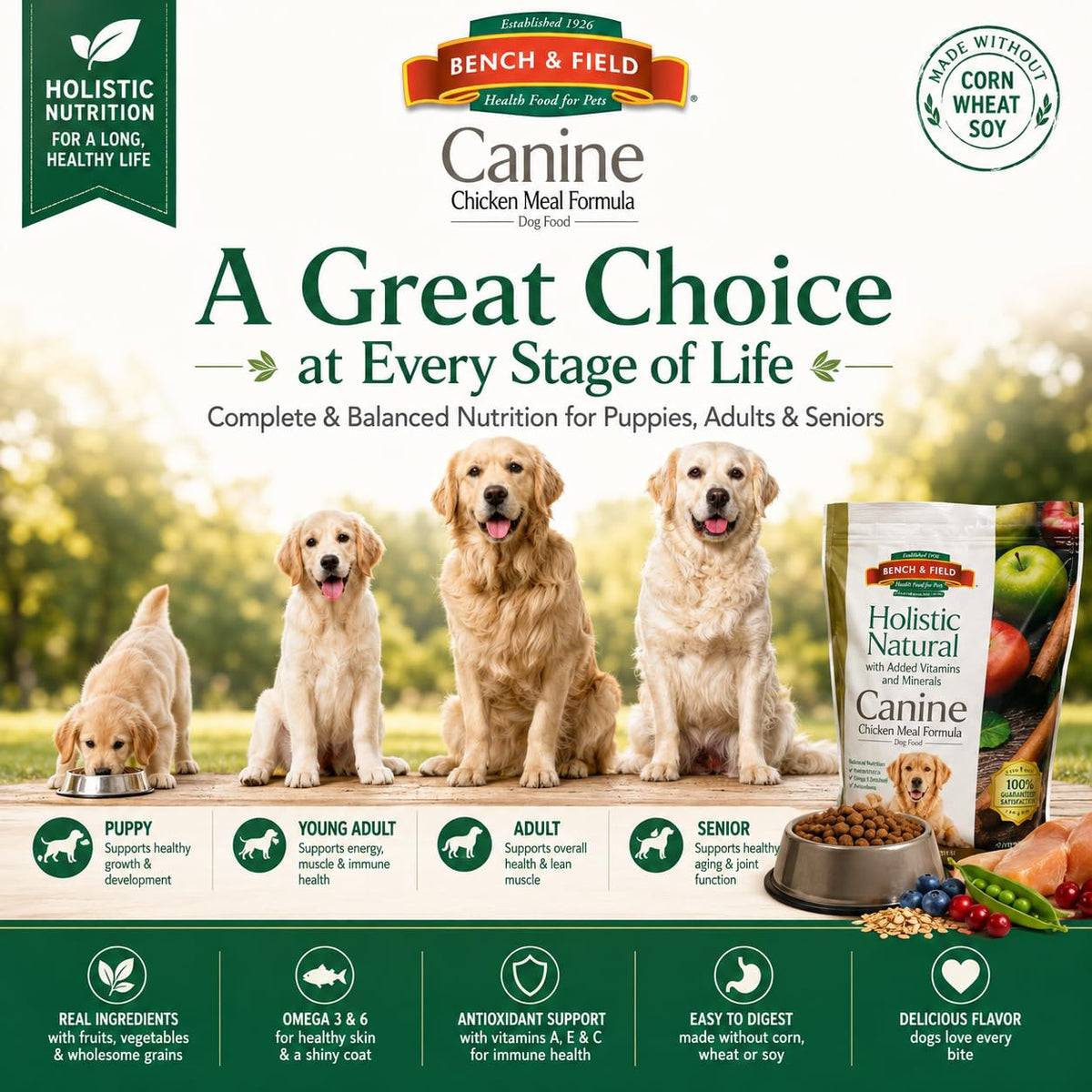Chicken Meal & Brown Rice Dry Dog Food 6.6 lb B8882