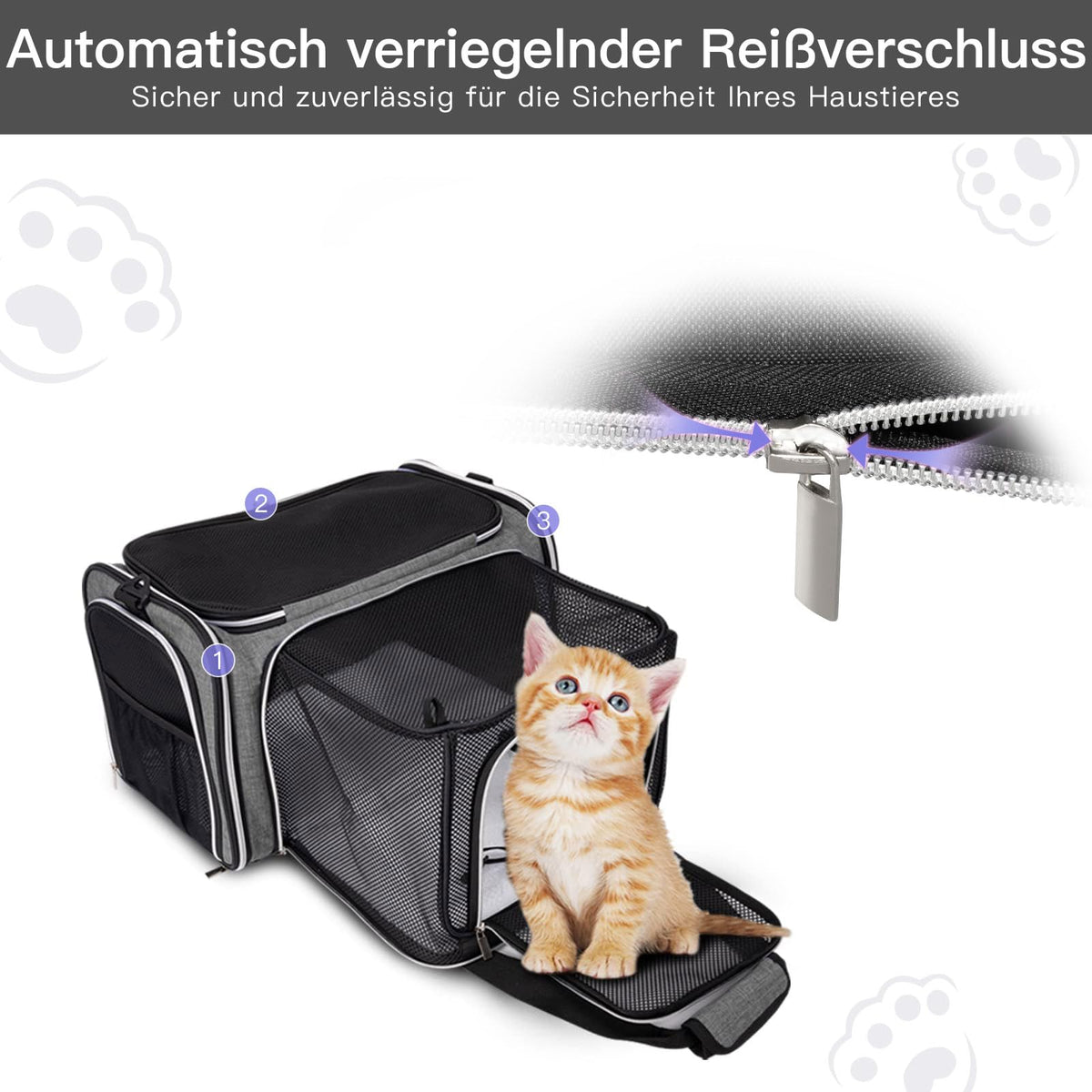 Airline Approved Soft Side Pet Carrier with Fleece Pad G800