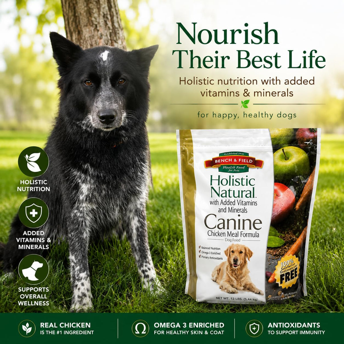 Chicken Meal & Brown Rice Dry Dog Food 6.6 lb B8882