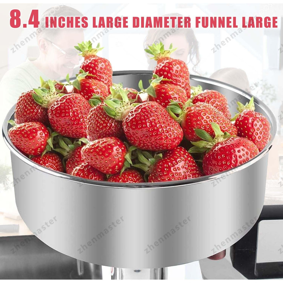 450W Stainless Steel Electric Tomato Strainer A959