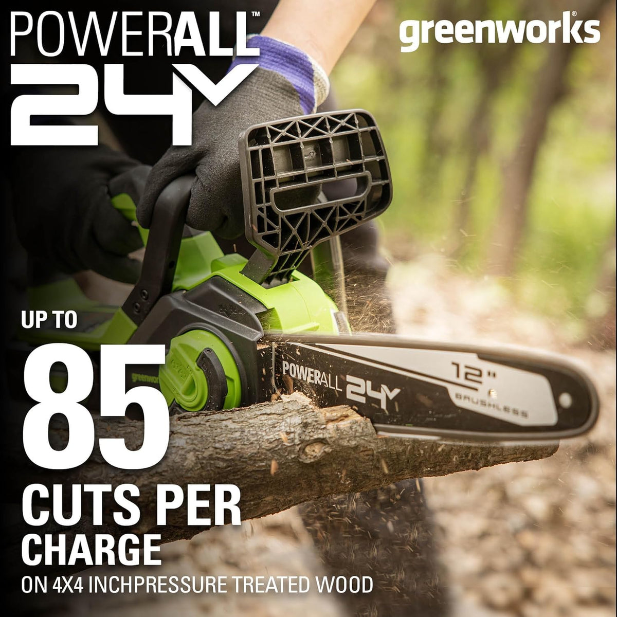 24V 12 in Cordless Electric Chainsaw O9536