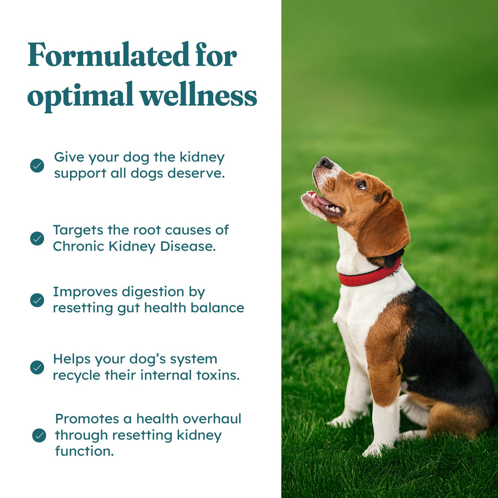 30 Soft Chews Pork Flavor Kidney Supplement for Dogs O81460