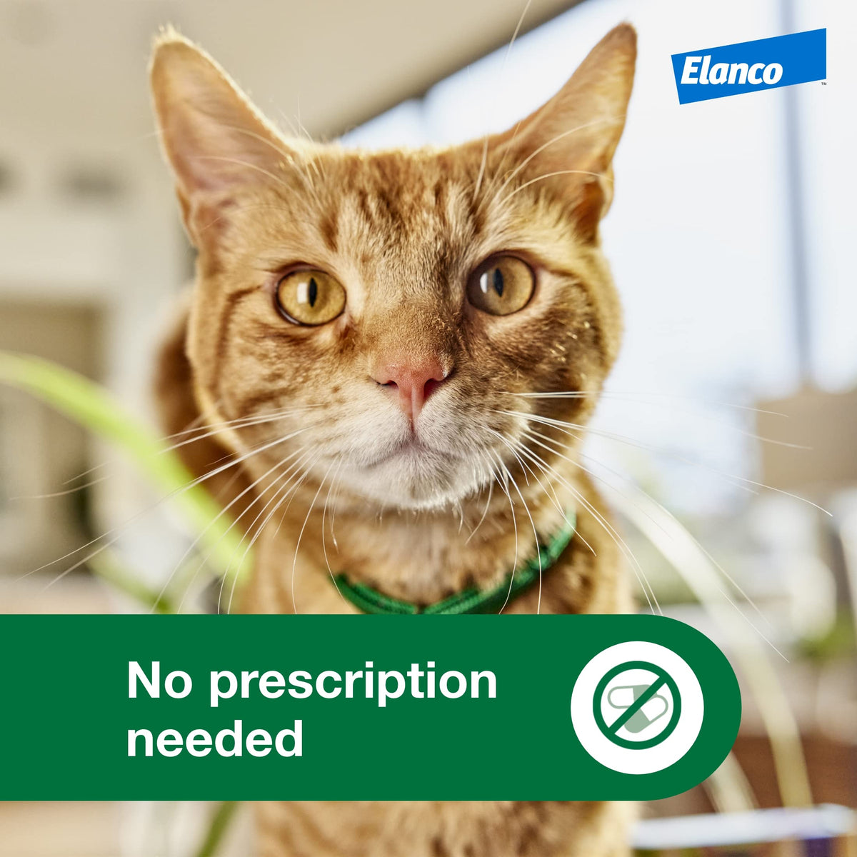 Large Cat Topical Flea Treatment & Prevention 1ct Z502180