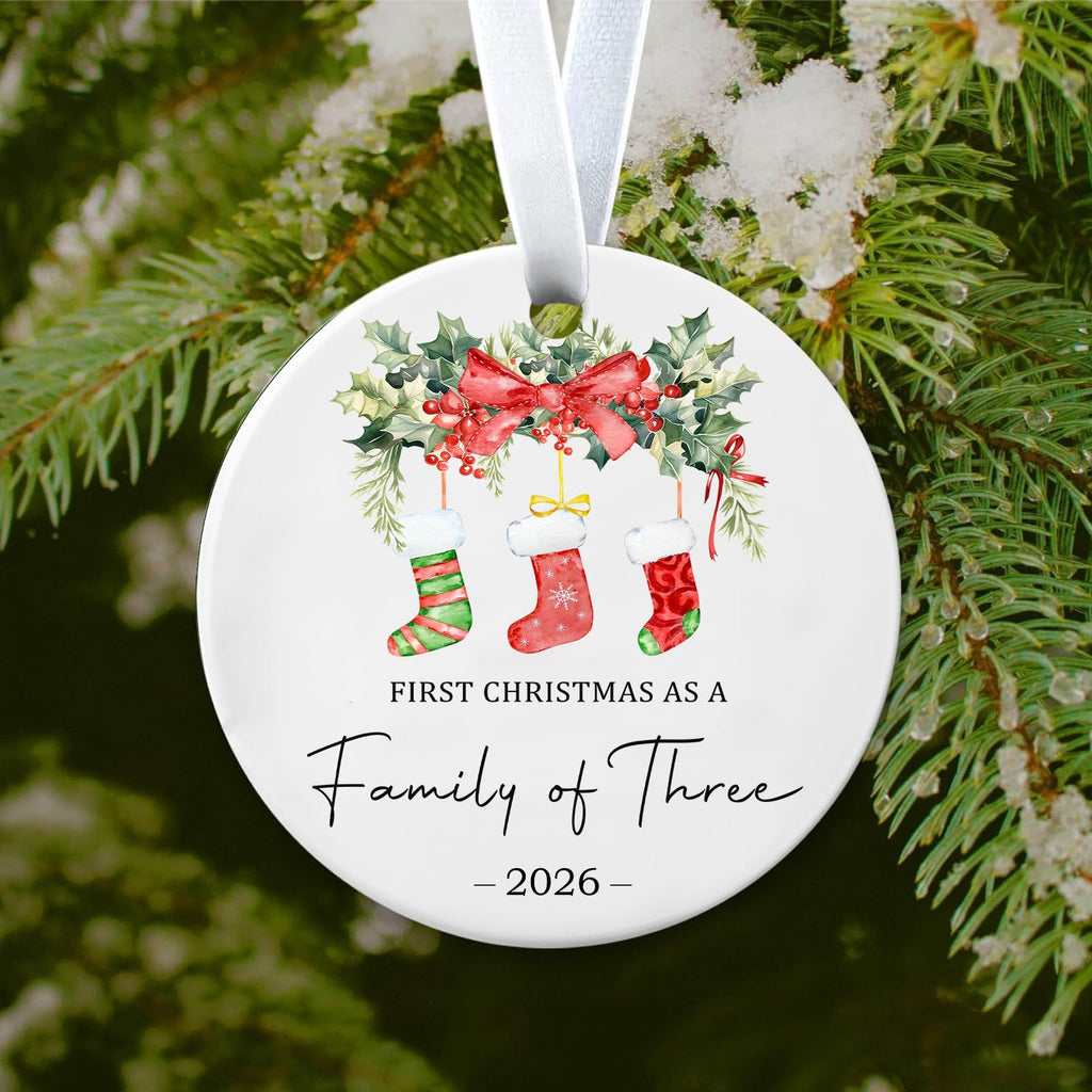 Baby First Christmas Ornaments 2026 G735