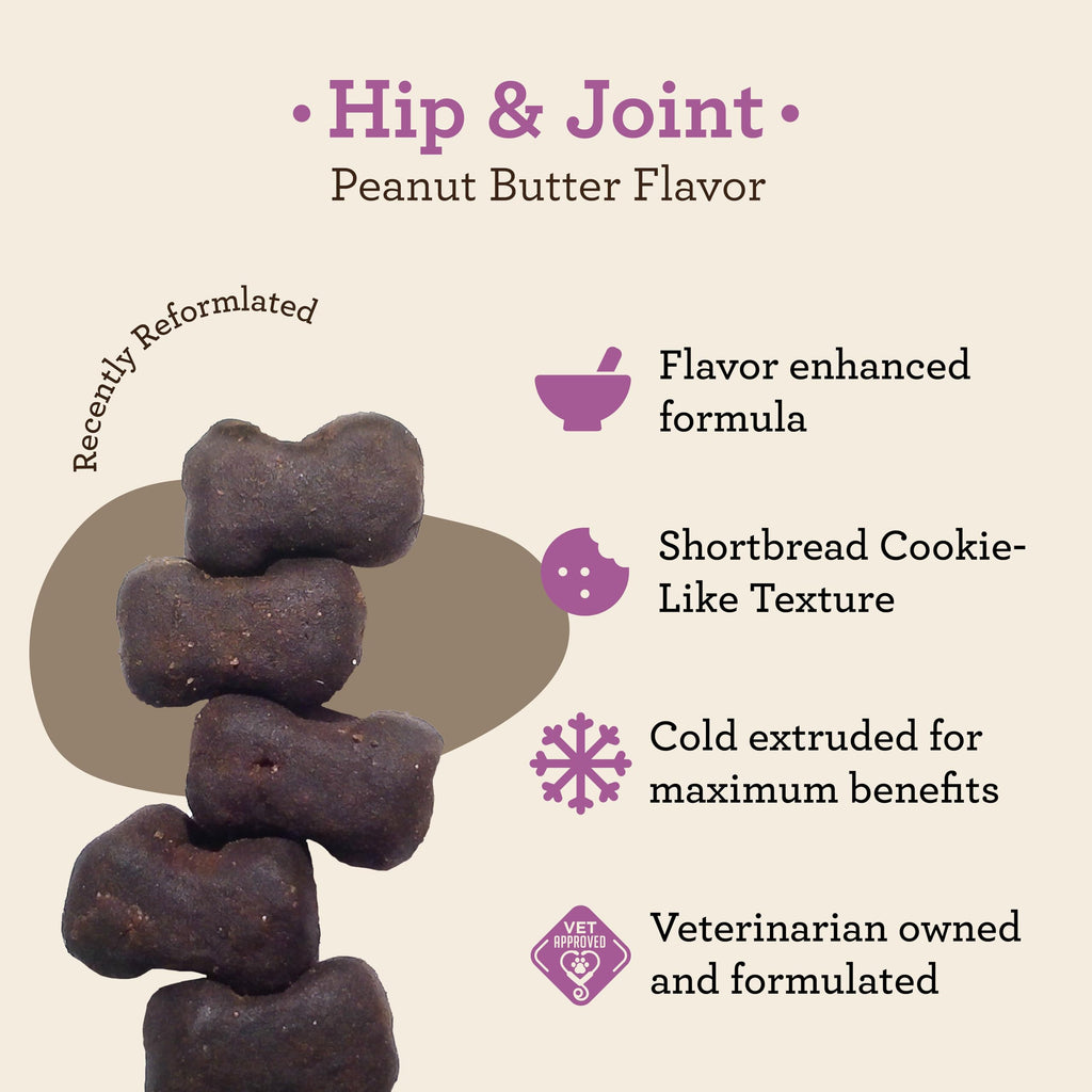 Glucosamine & Chondroitin Dog Joint Supplement Chews, Peanut Butter, 120 Ct P635