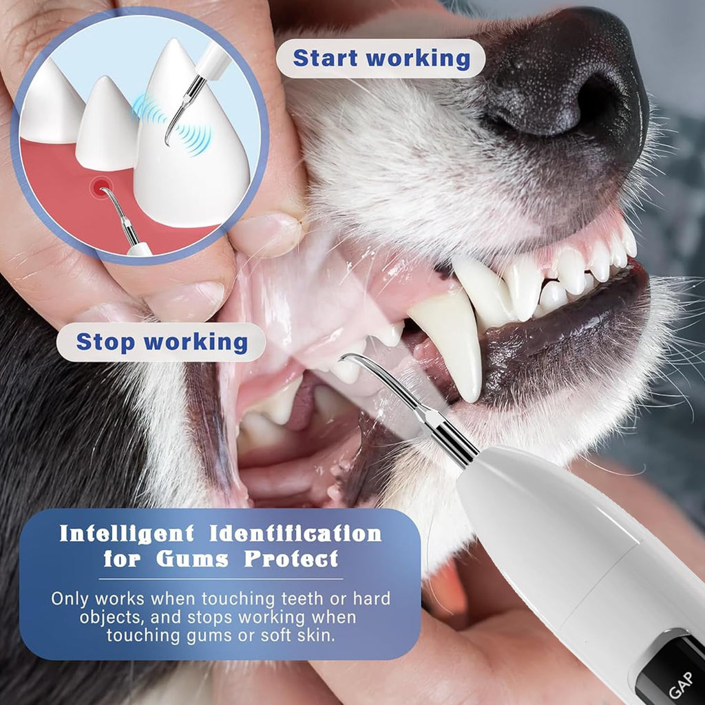 Ultrasonic Pet Dental Cleaner with 4 Tips, 3 Modes, LED, White R621