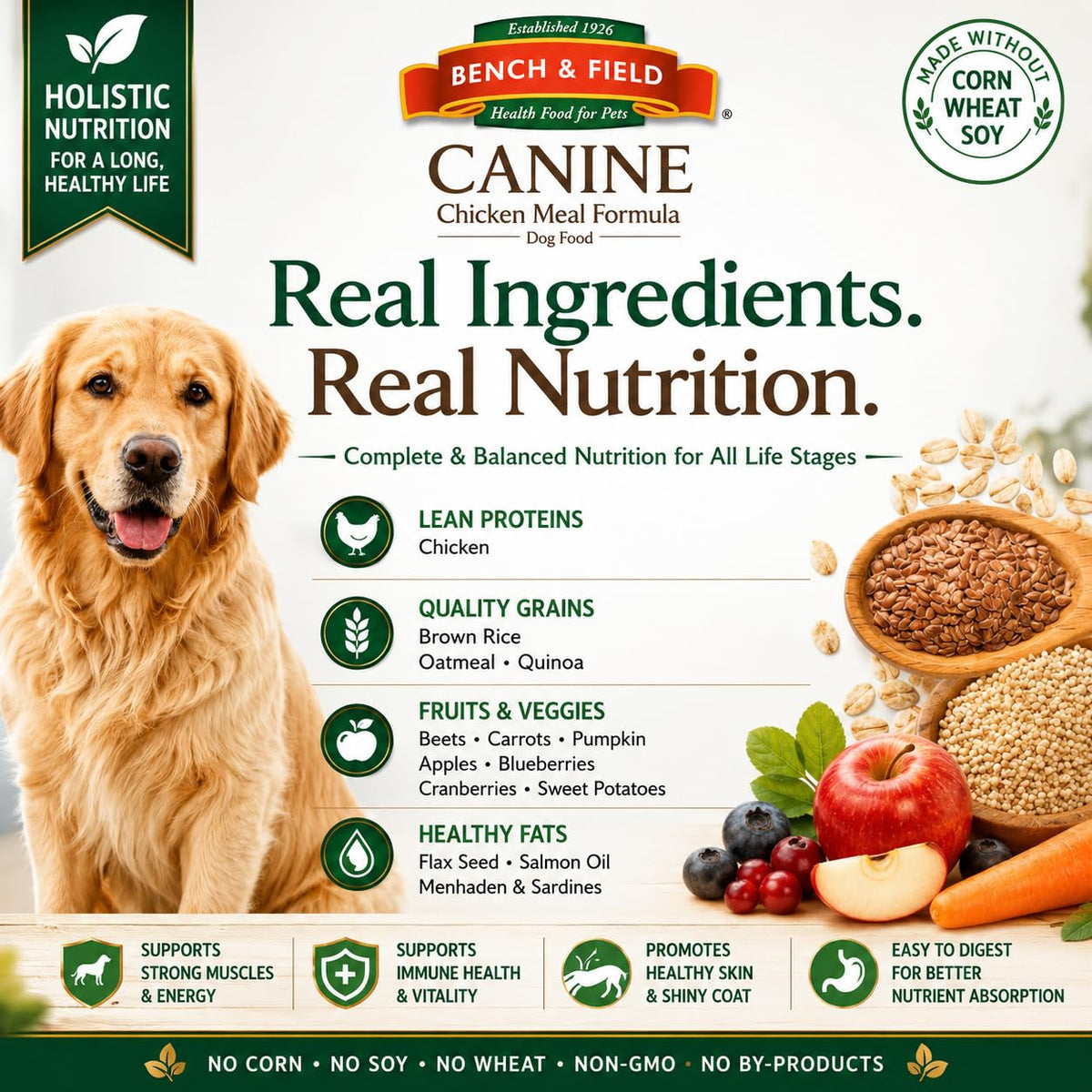 Chicken Meal & Brown Rice Dry Dog Food 6.6 lb B8882