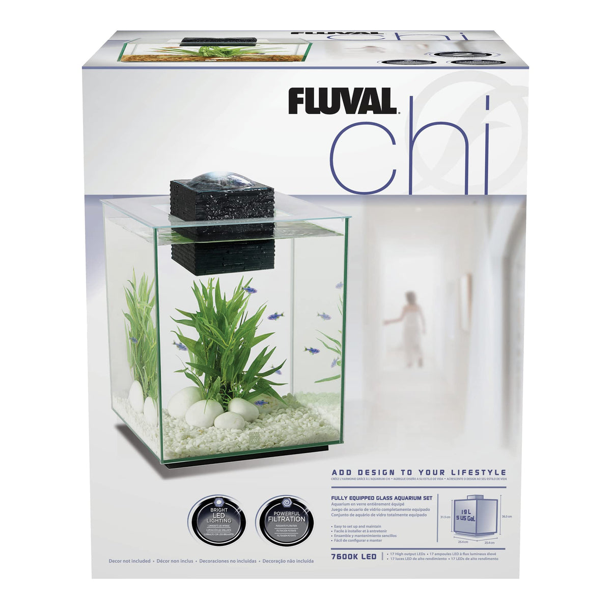 5-Gallon Aquarium Set B7666