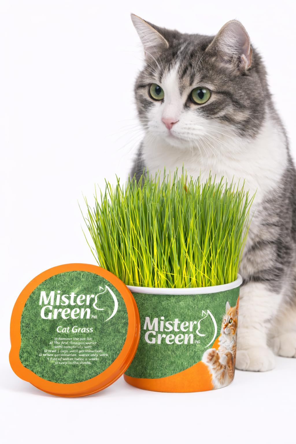 Cat Grass Grow Kit O9139