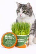 Cat Grass Grow Kit O9139