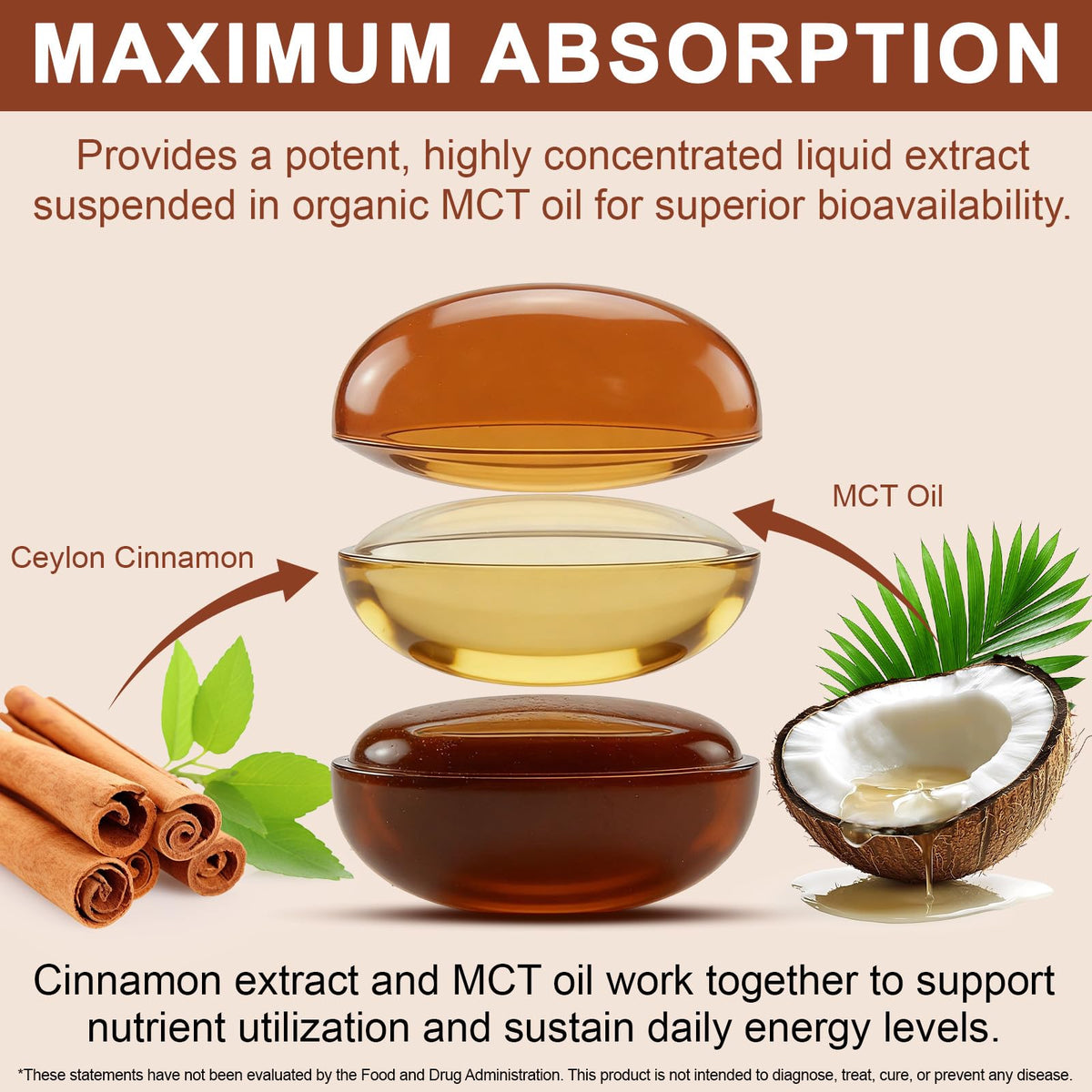 Cinnamon Capsules 300 Softgels with MCT Oil F355