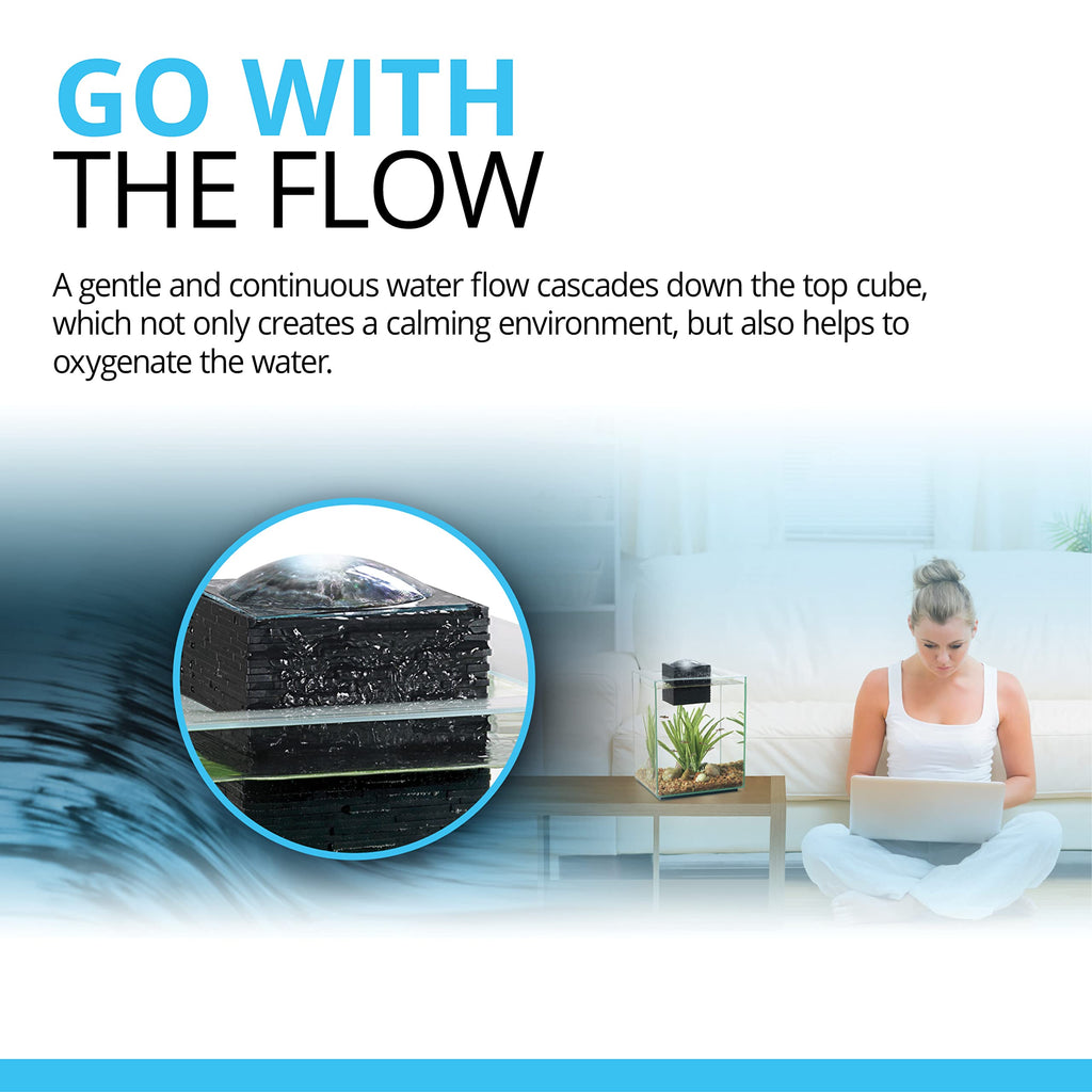 5-Gallon Aquarium Set B7666