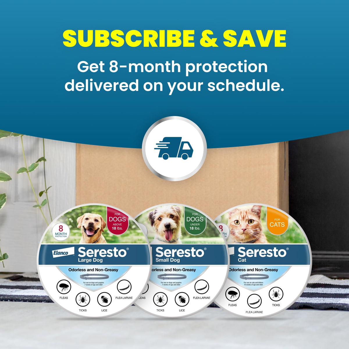 8-Month Flea & Tick Collar for Large Dogs Over 18 lbs B888