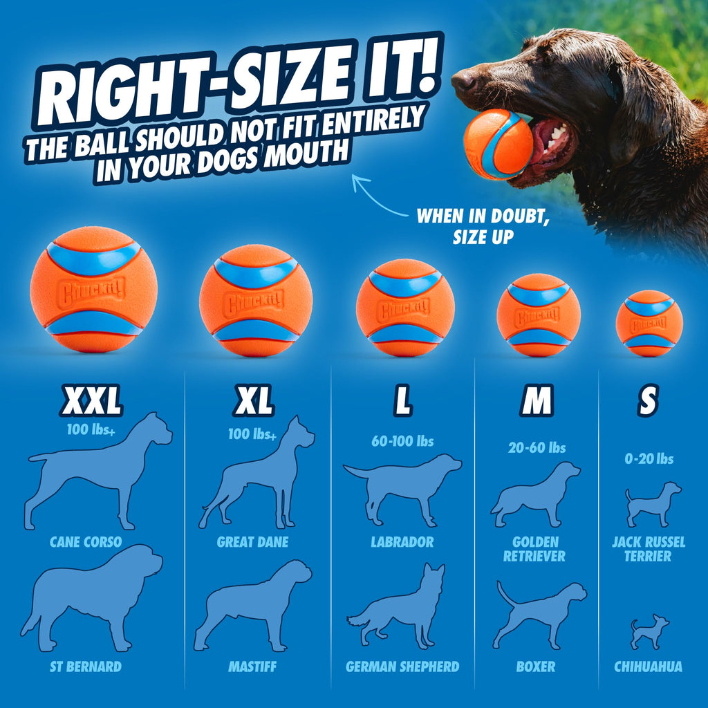 Dog Ball Launcher with 2.5in Ball X2615