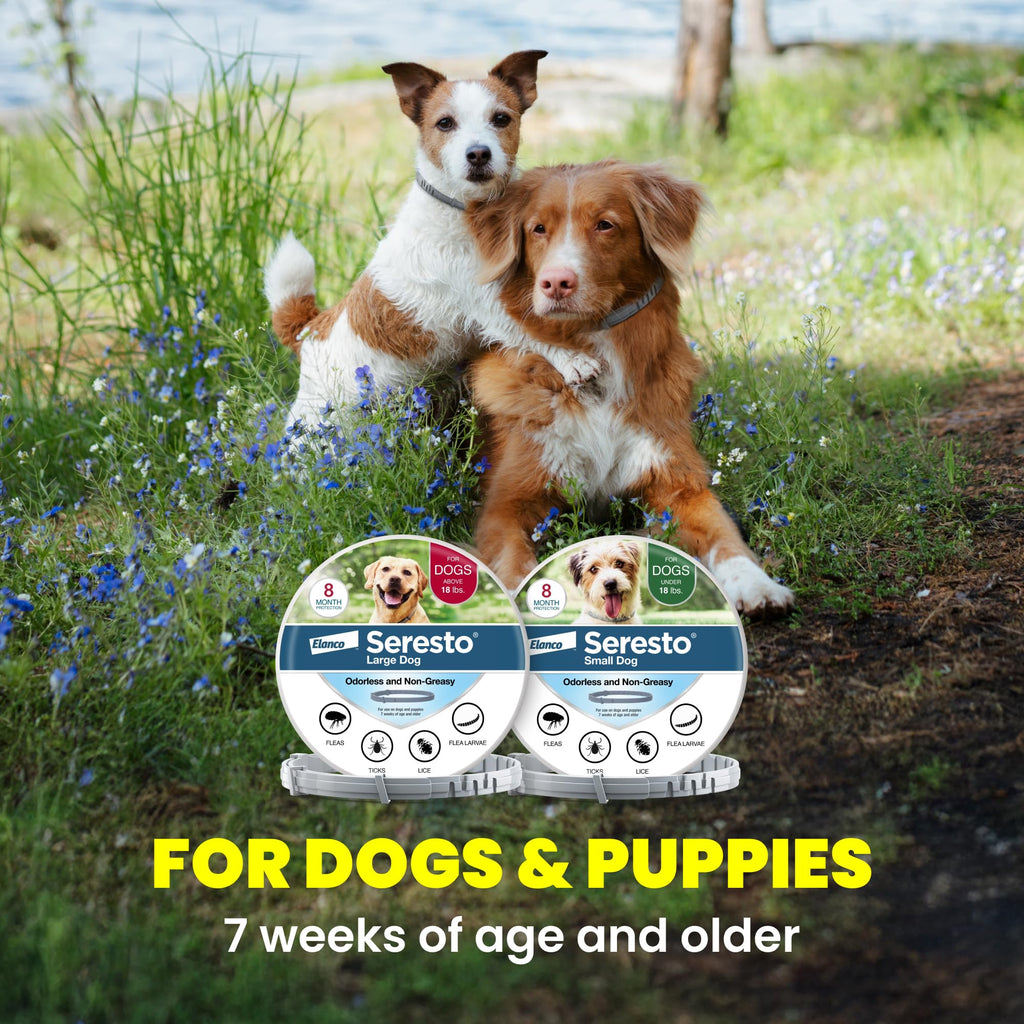 8-Month Flea & Tick Collar for Large Dogs Over 18 lbs B888