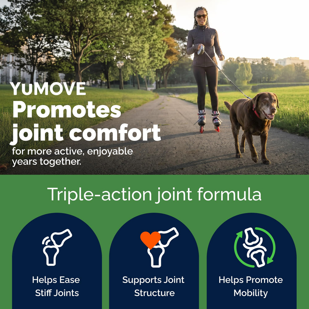 Senior Dog Hip & Joint Supplement 120ct I535524