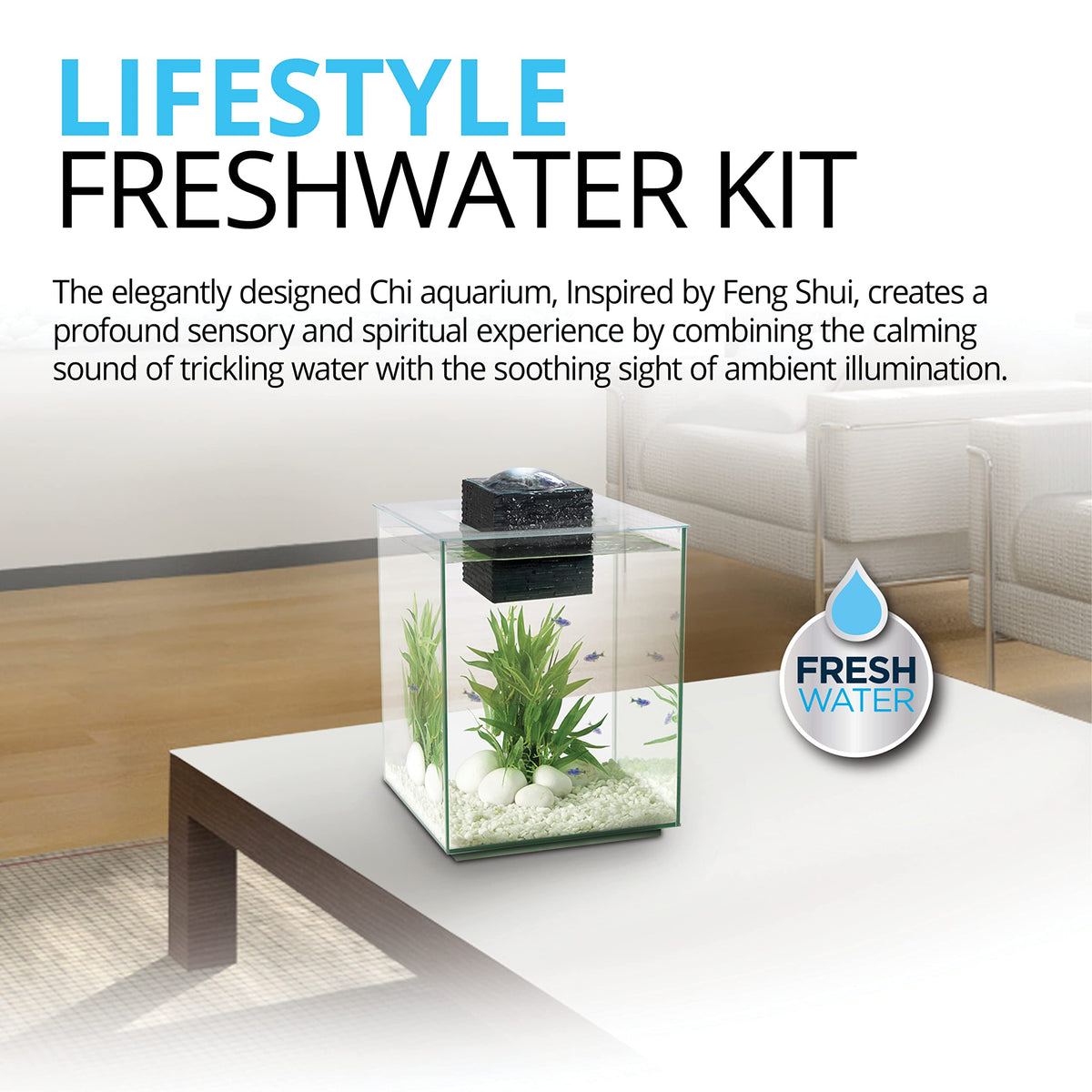 5-Gallon Aquarium Set B7666