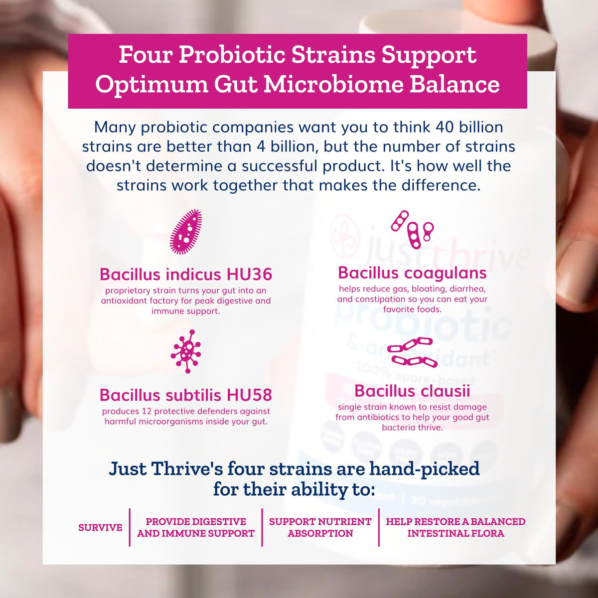 Spore-Based Probiotic T840
