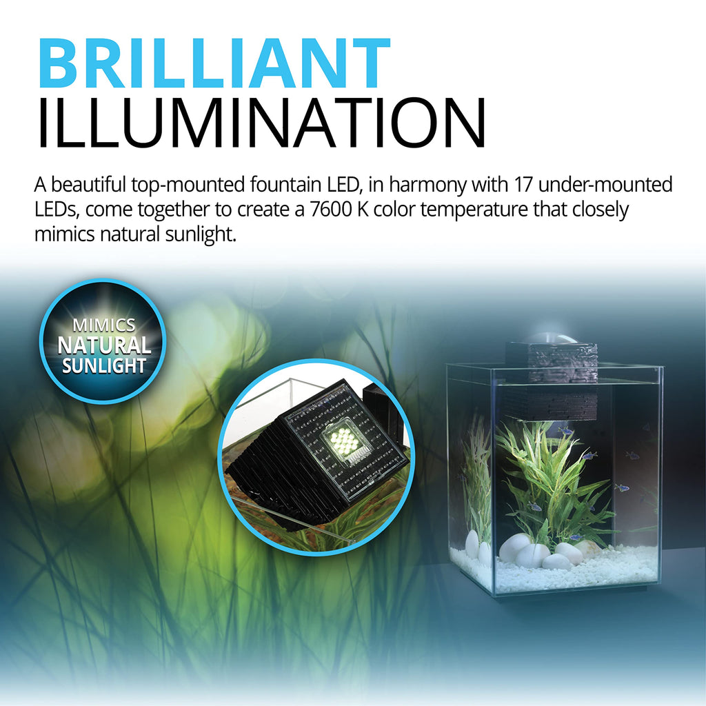 5-Gallon Aquarium Set B7666