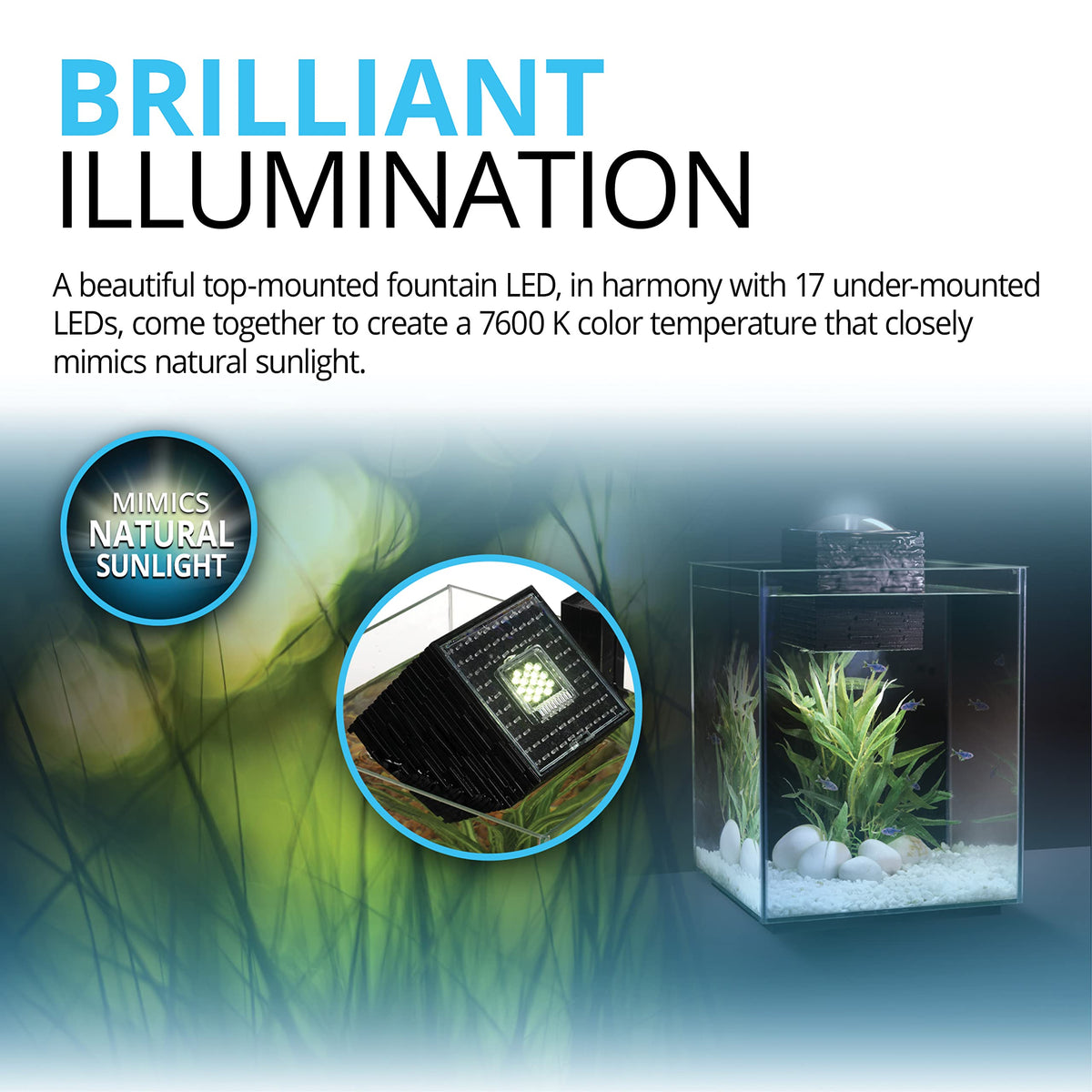 5-Gallon Aquarium Set B7666