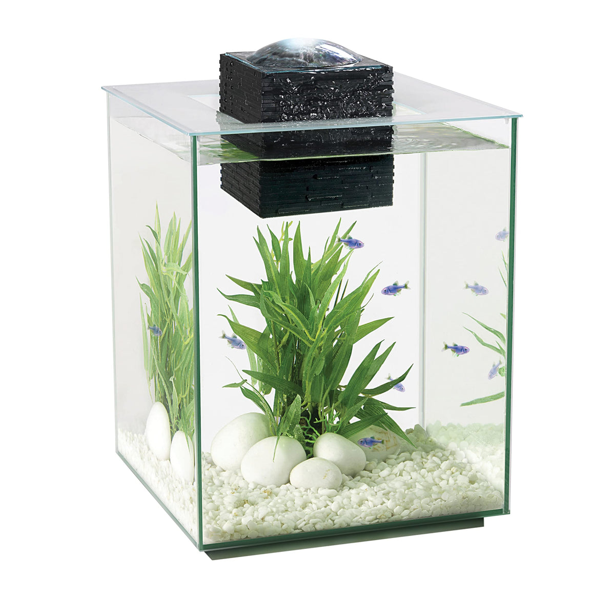 5-Gallon Aquarium Set B7666