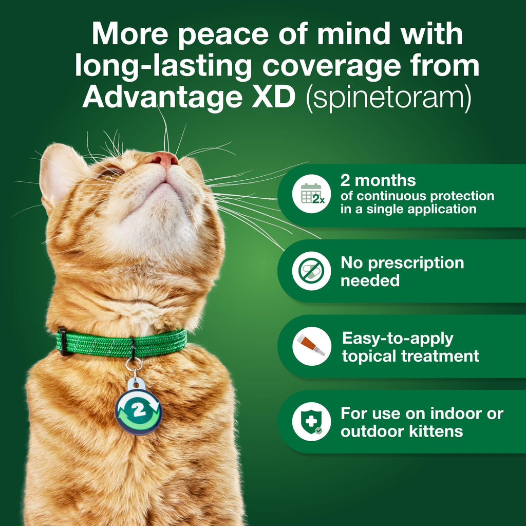 Large Cat Topical Flea Treatment & Prevention 1ct Z502180