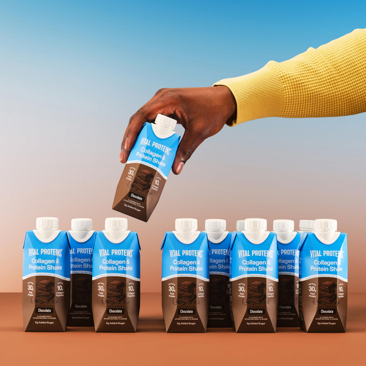 Chocolate Collagen & Protein Shake 12 Count A2936