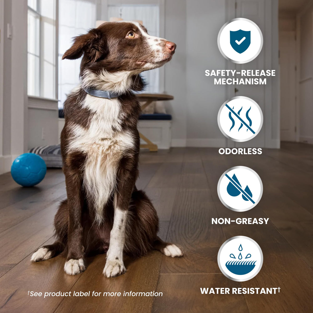 8-Month Flea & Tick Collar for Large Dogs Over 18 lbs B888