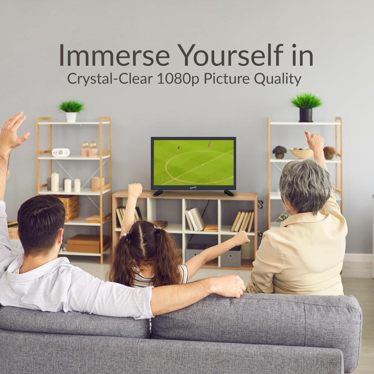 18.5 inch 1080p Smart LED TV L4070