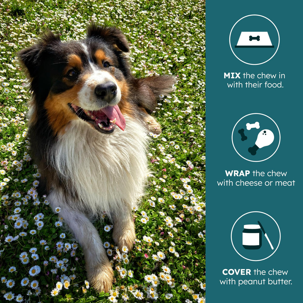 30 Soft Chews Pork Flavor Kidney Supplement for Dogs O81460